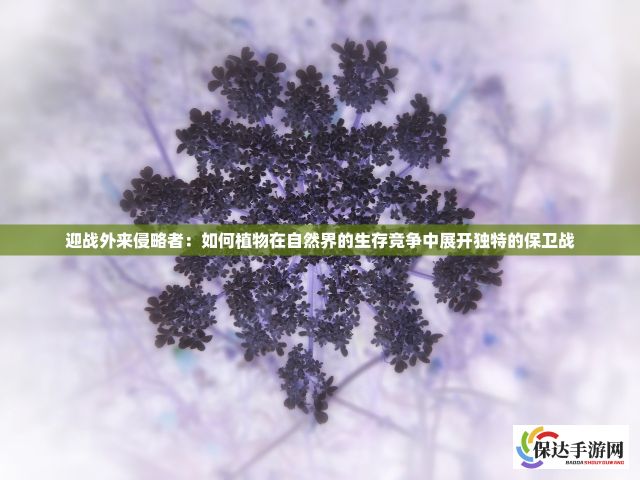 解析《洛洛历险记》：绝招综合实力排名与角色发展关键要素